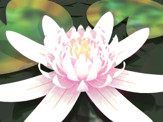 03_Lotus2.jpg