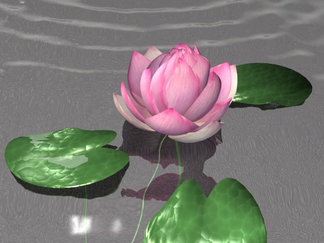 06_lotus.jpg