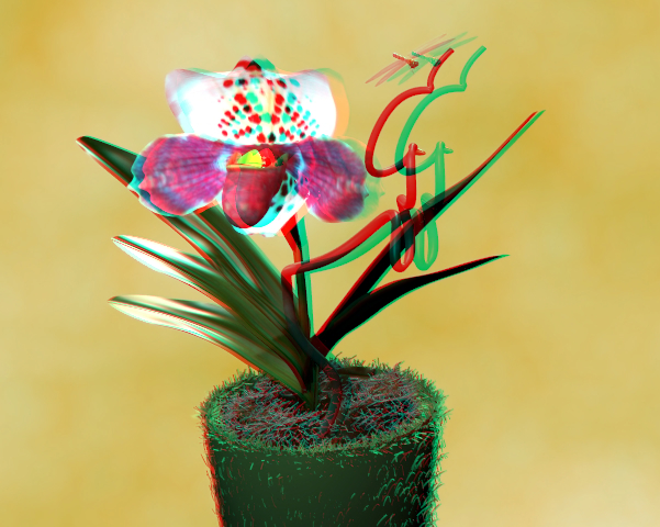 10_orchida6.jpg