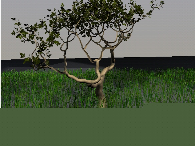 arbre.jpg