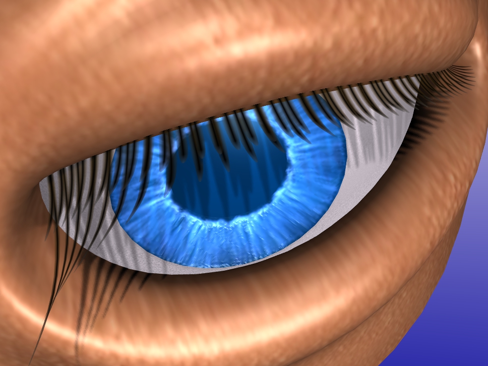 030_BlenderV259oeil.jpg