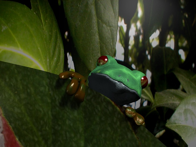 001_grenouille7.jpg