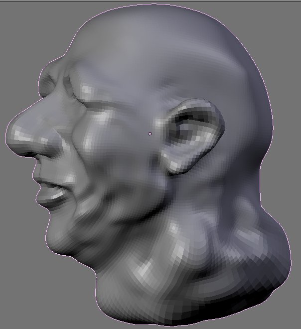 177_visage_sculpte.jpg