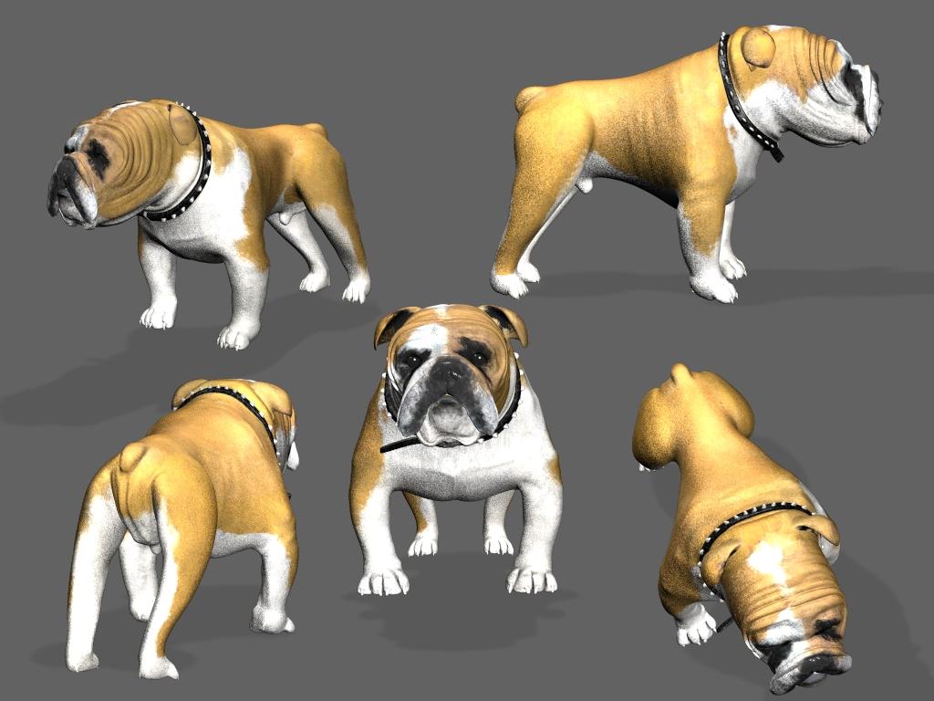 035_Bulldog8.jpg