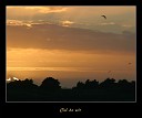 jean-luc_07